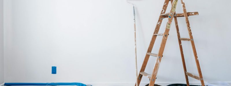 pexels-blue-bird-7218525