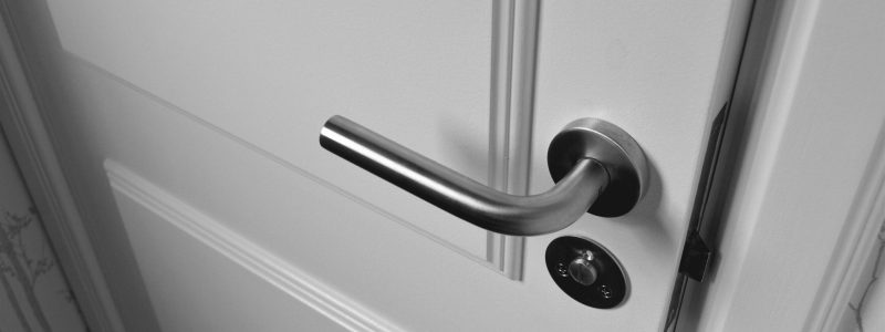 pexels-grizzlybear-965878